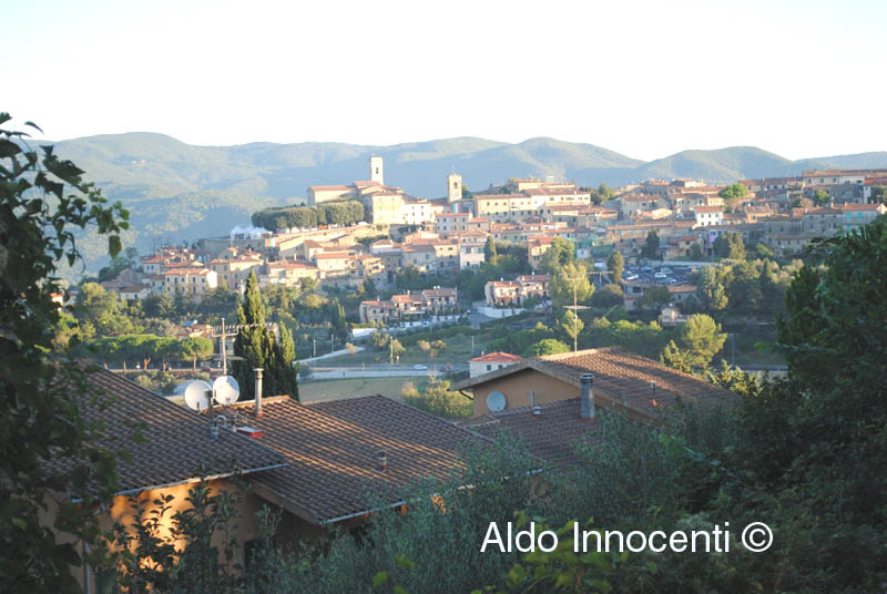 MONTESCUDAIO: PANORAMA 2' IMMAGINE
